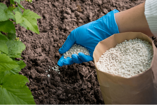 Image of Phosphorus or Application
